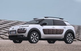 C4 CACTUS Phase 1