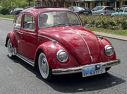 COCCINELLE phase 1